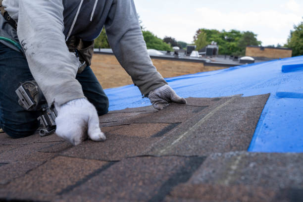 Best Emergency Roof Repair  in Frankfort, OH