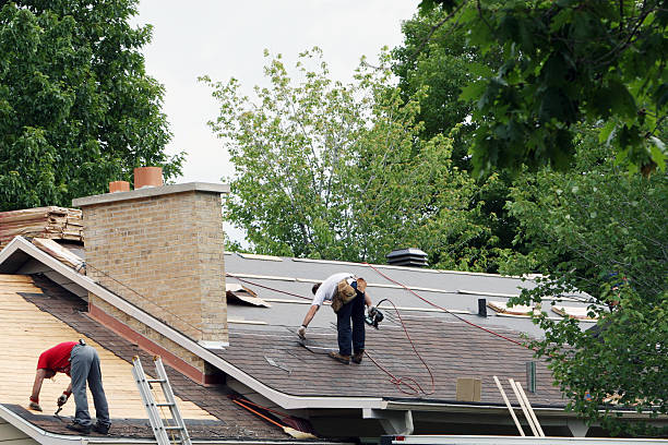 Best Metal Roofing Contractor  in Frankfort, OH